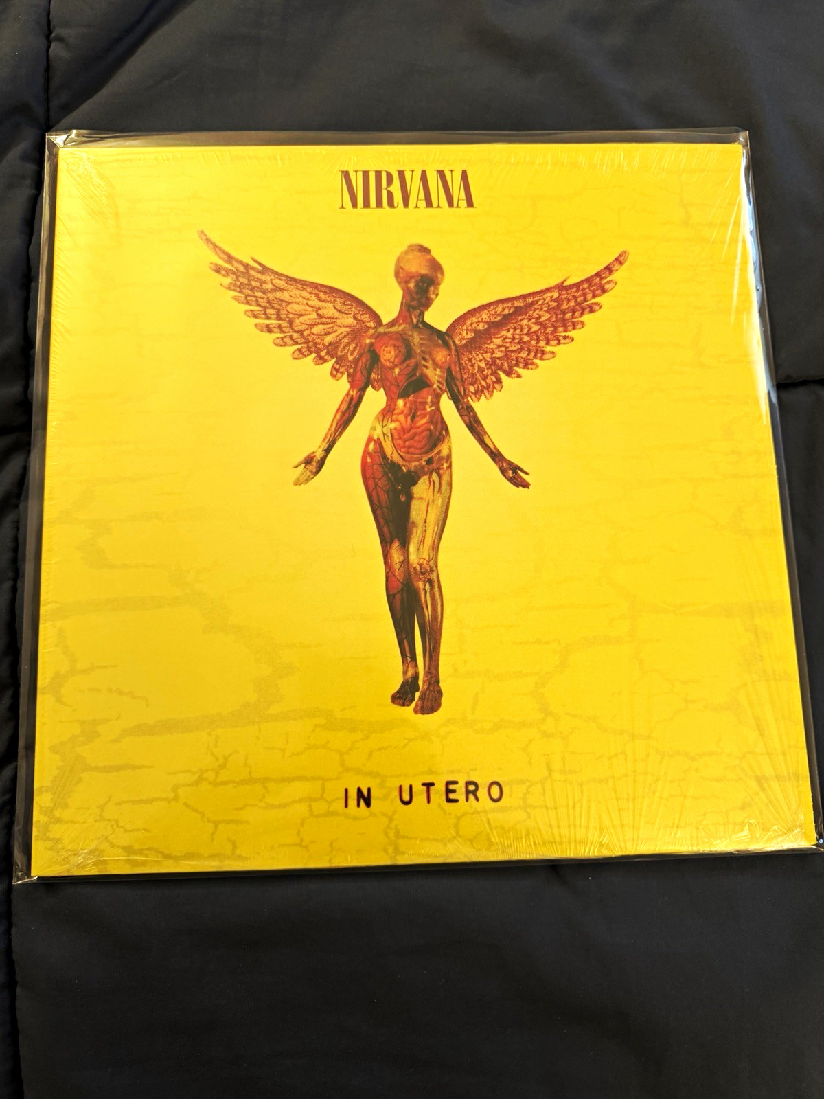 Nirvana In Utero DGC 12\