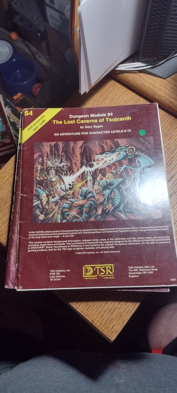 Dungeons & Dragons AD&D D&D Module The Lost Caverns of Tsojcanth 9061 S4 Great