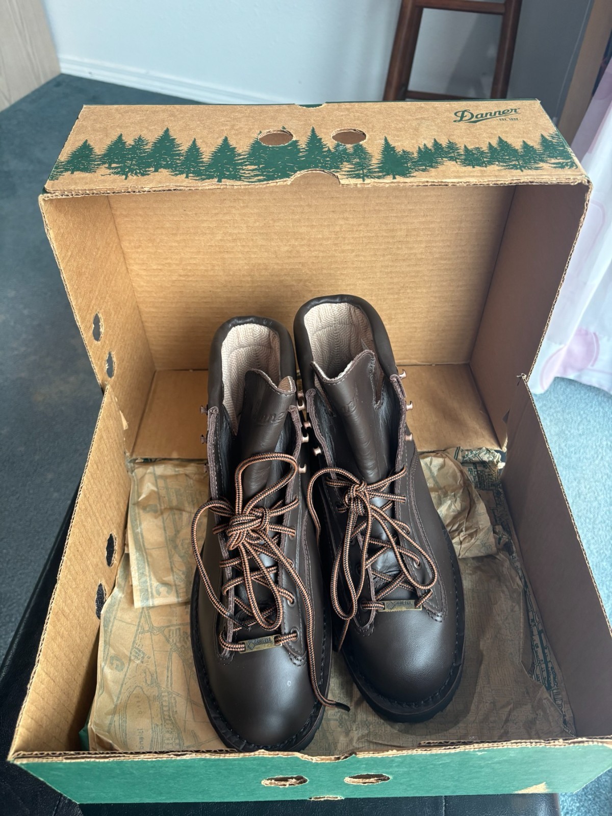 Danner Explorer 45200 8.5 EE 6\