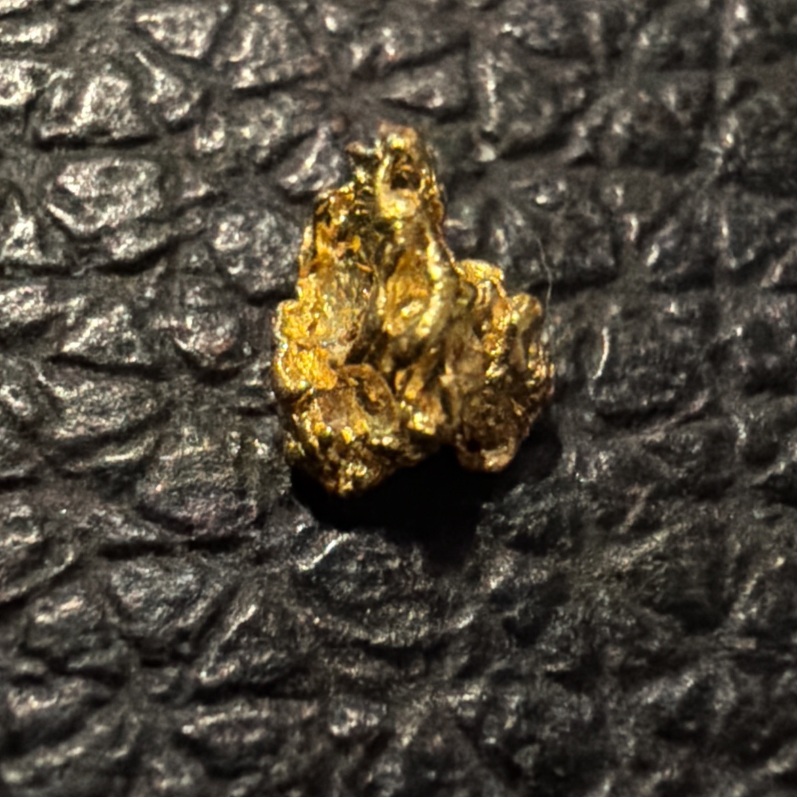 VENEZUELA GOLD NUGGET  “SHRINE OF ANUBIS” GOLD 23k+ .200g - Wow - Rare