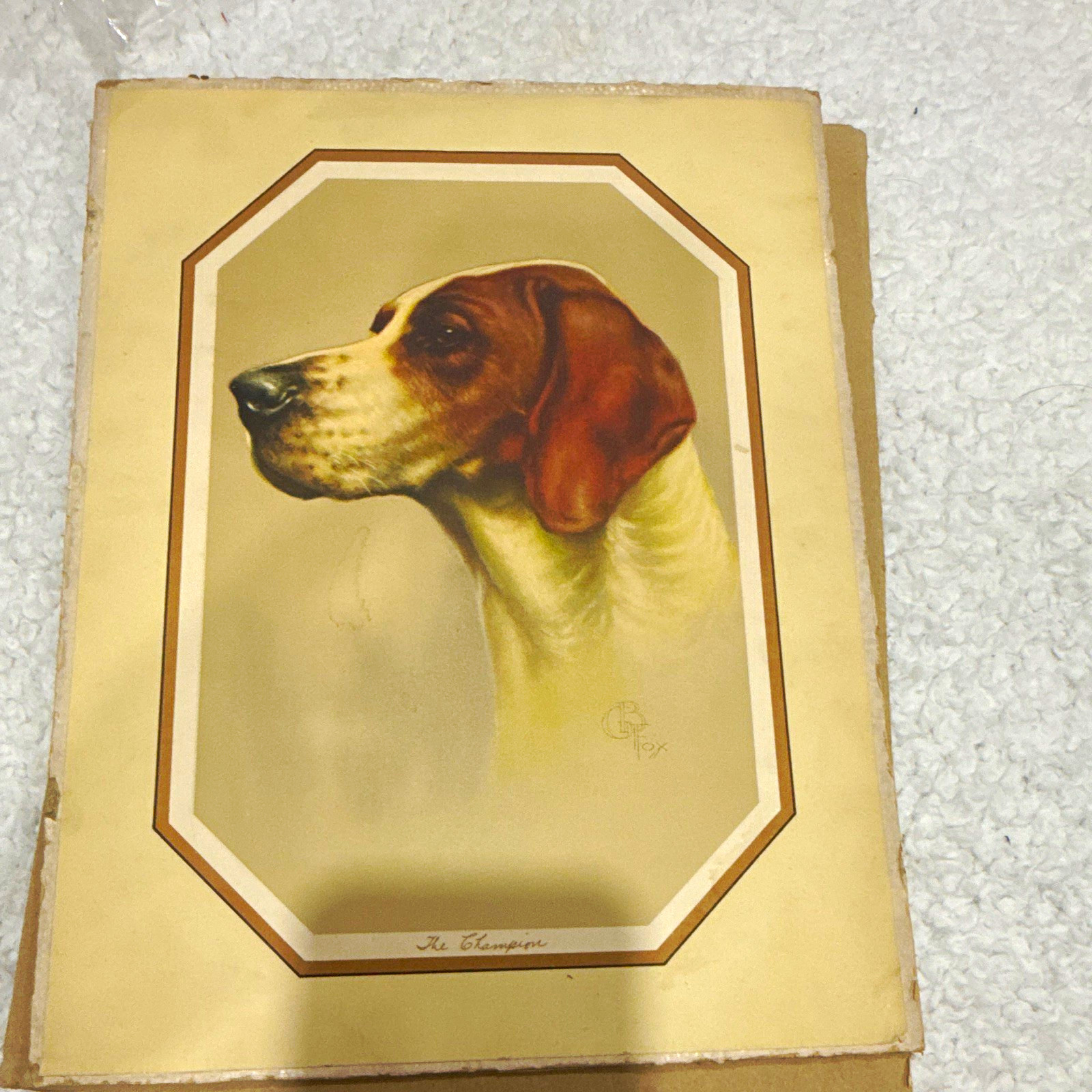 Vintage C.B. Fox “The Champion” Pointer Hunting Dog Print Sporting Dog Art