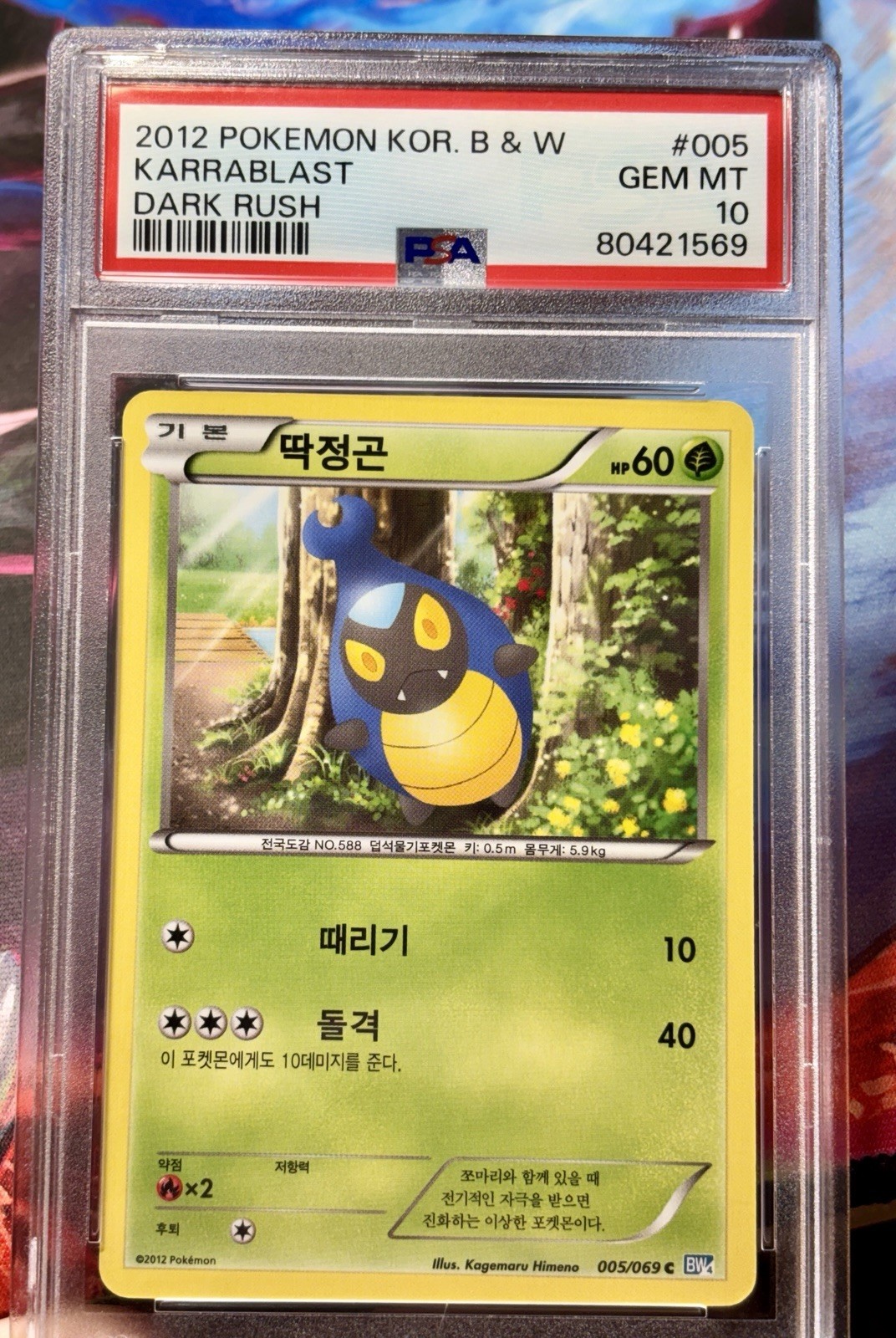 PSA 10 Karrablast #005 Dark Rush Black & White Korean Pokemon POP 1 PSA 10 Karrablast #005 Dark Rush Black & White Korean Pokemon POP 1