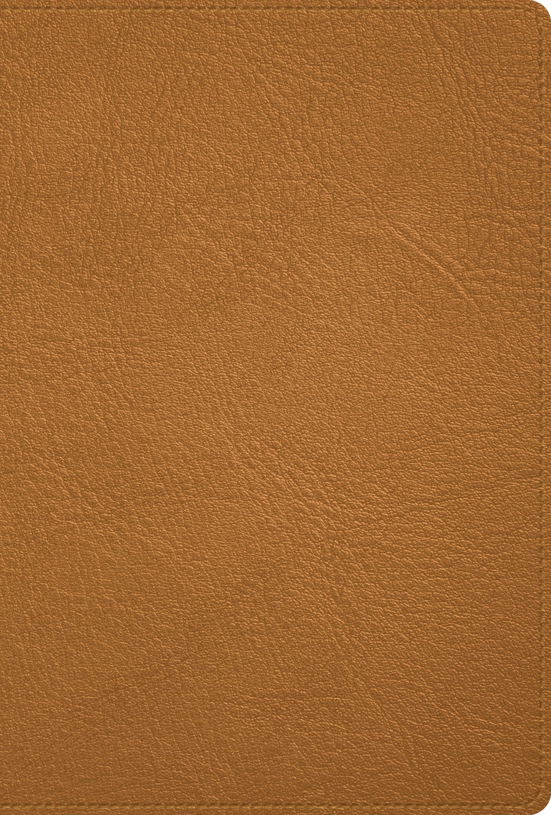 BIBLIA RVR 1960 DELUXE PIEL GENUINA CARAMELO BIBLIA RVR 1960 DELUXE PIEL GENUINA CARAMELO
