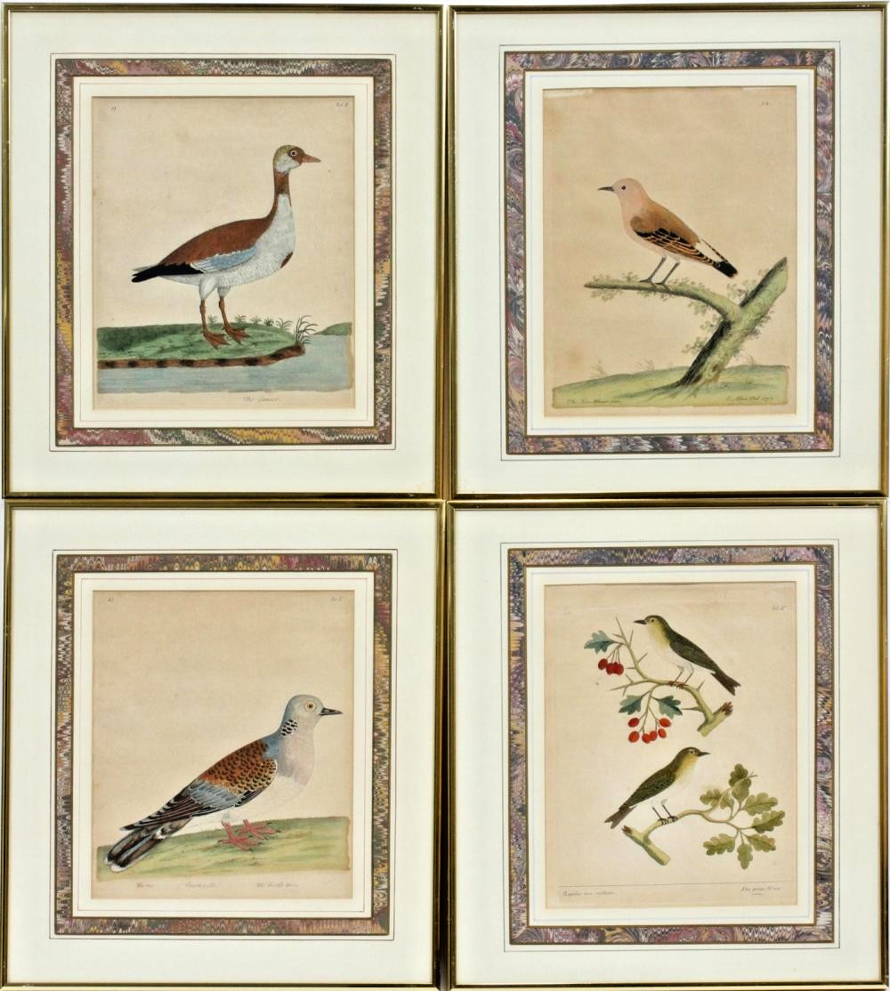 FOUR Framed ELEAZAR ALBIN Antique 1737 Copper Engraved Etching Lithograph Prints