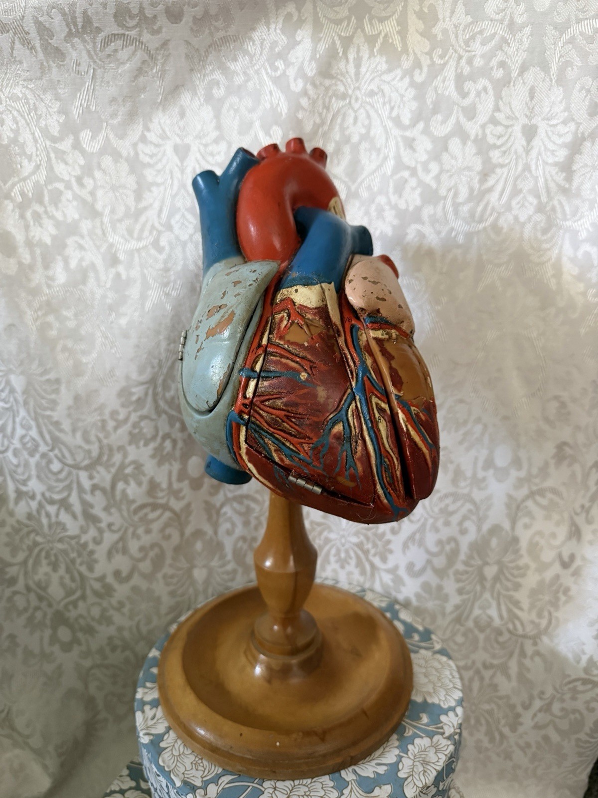 Vintage Denoyer-Geppert Anatomical Heart With Stand, Flaps Open