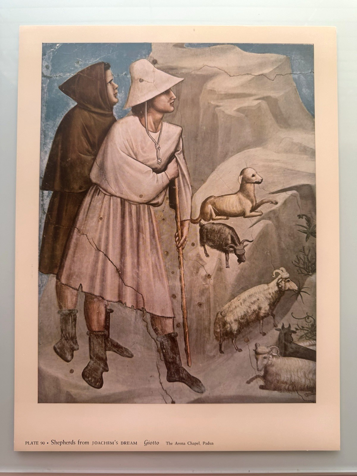 Vintage Giotto Shepherds from Joachim\'s Dream Art Print The Arena Chapel Padua