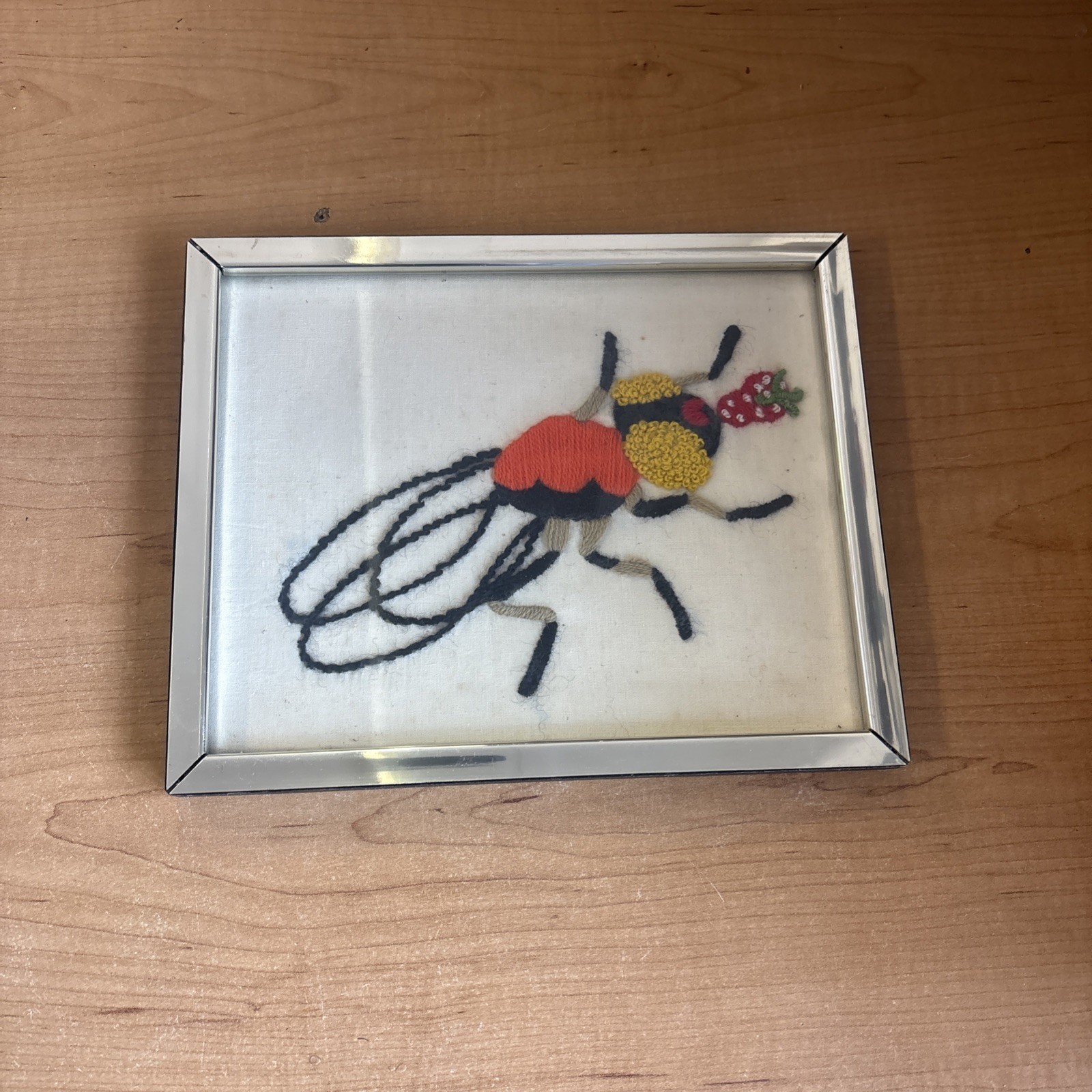 Needlepoint Cruel Handmade Insect Eating Strawberry Framed Art Vintage 🔥 Needlepoint Cruel Handmade Insect Eating Strawberry Framed Art Vintage 🔥