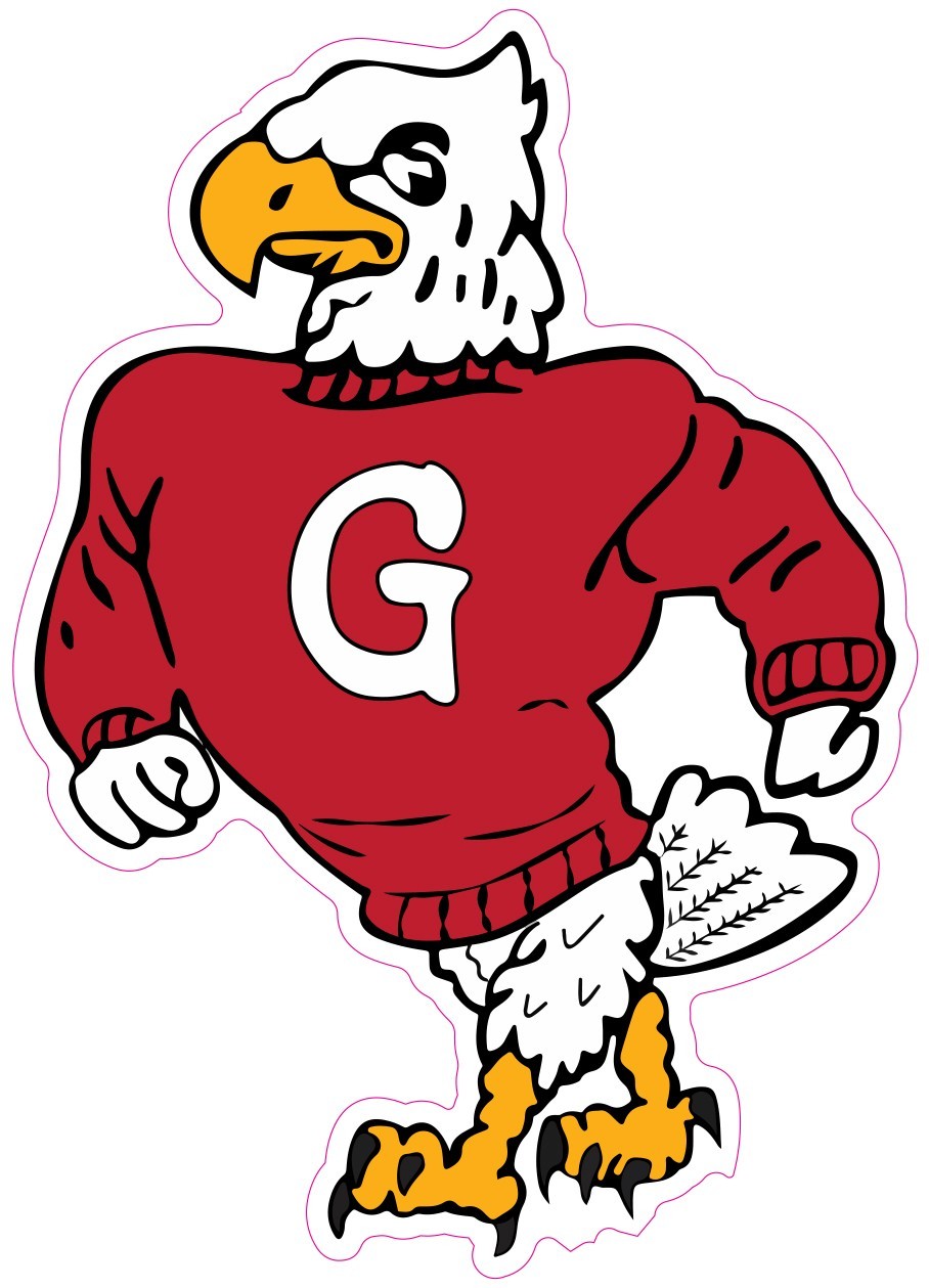 (NOT A PATCH) Geneva High JV Football Mascot HTV Heat Transfer Vinyl Iron On