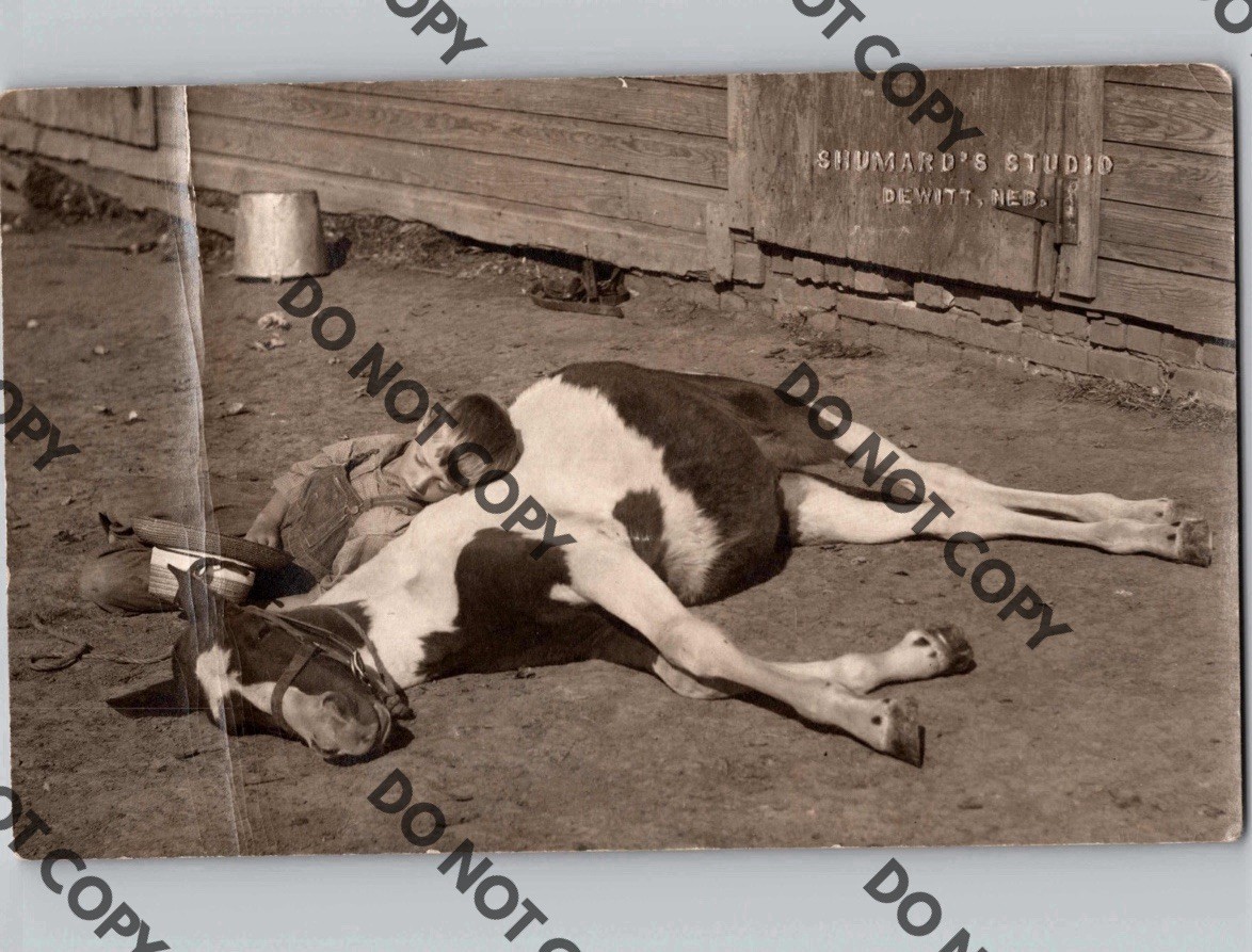 c1915 ADORABLE Country Boy Sleeping On Horse DEWITT Nebraska NE Summard RPPC