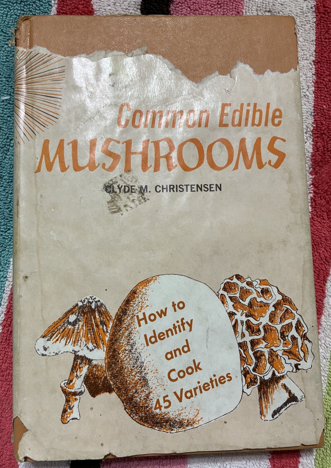 Vintage Book~Common Edible Mushrooms Clyde M. Christensen~HC DJ~Illustrated