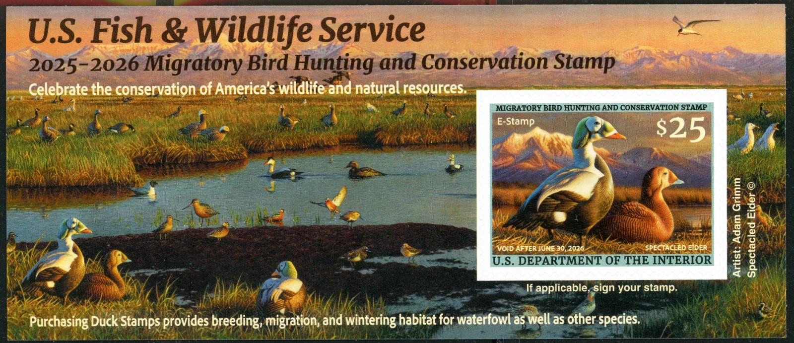 RW92B 2025 -  E  STAMP  Federal Duck Stamp  Similar to RW92A SCARCE MINT NH