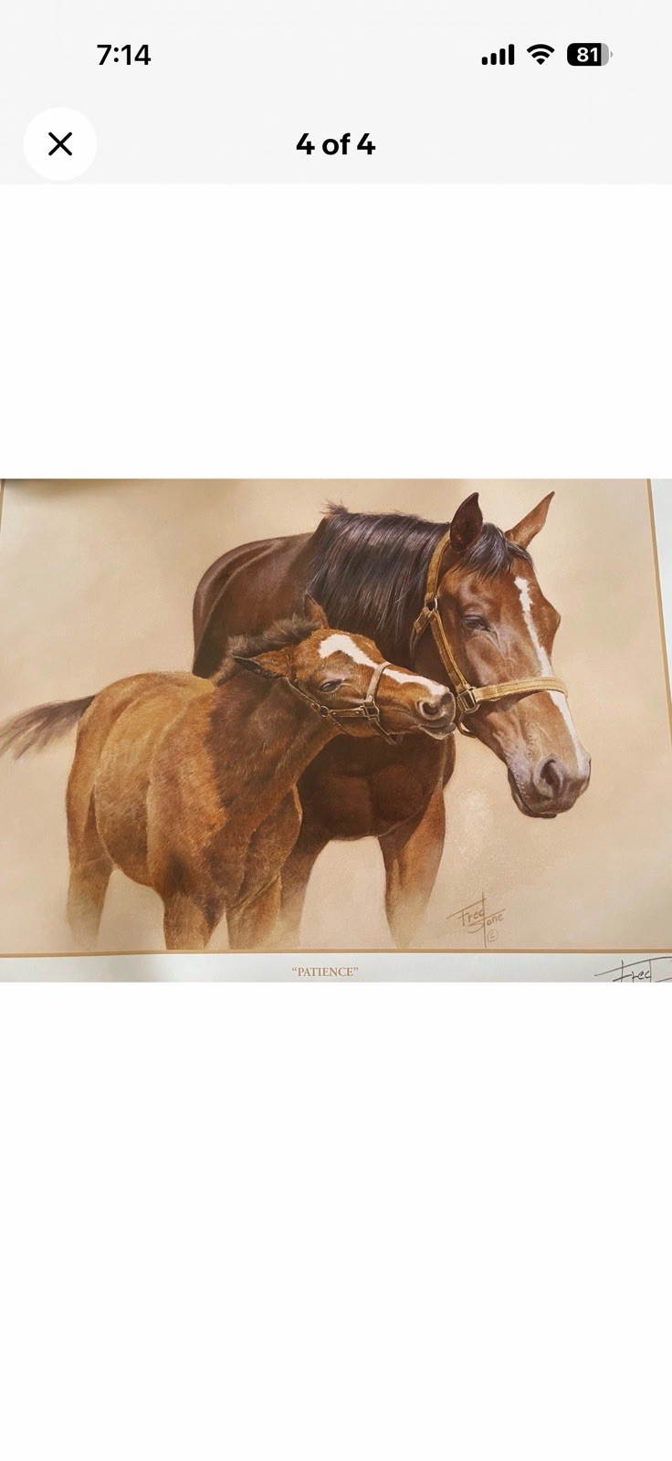 Fred Stone Signed 21x24 “Patience “ Thoroughbred Print