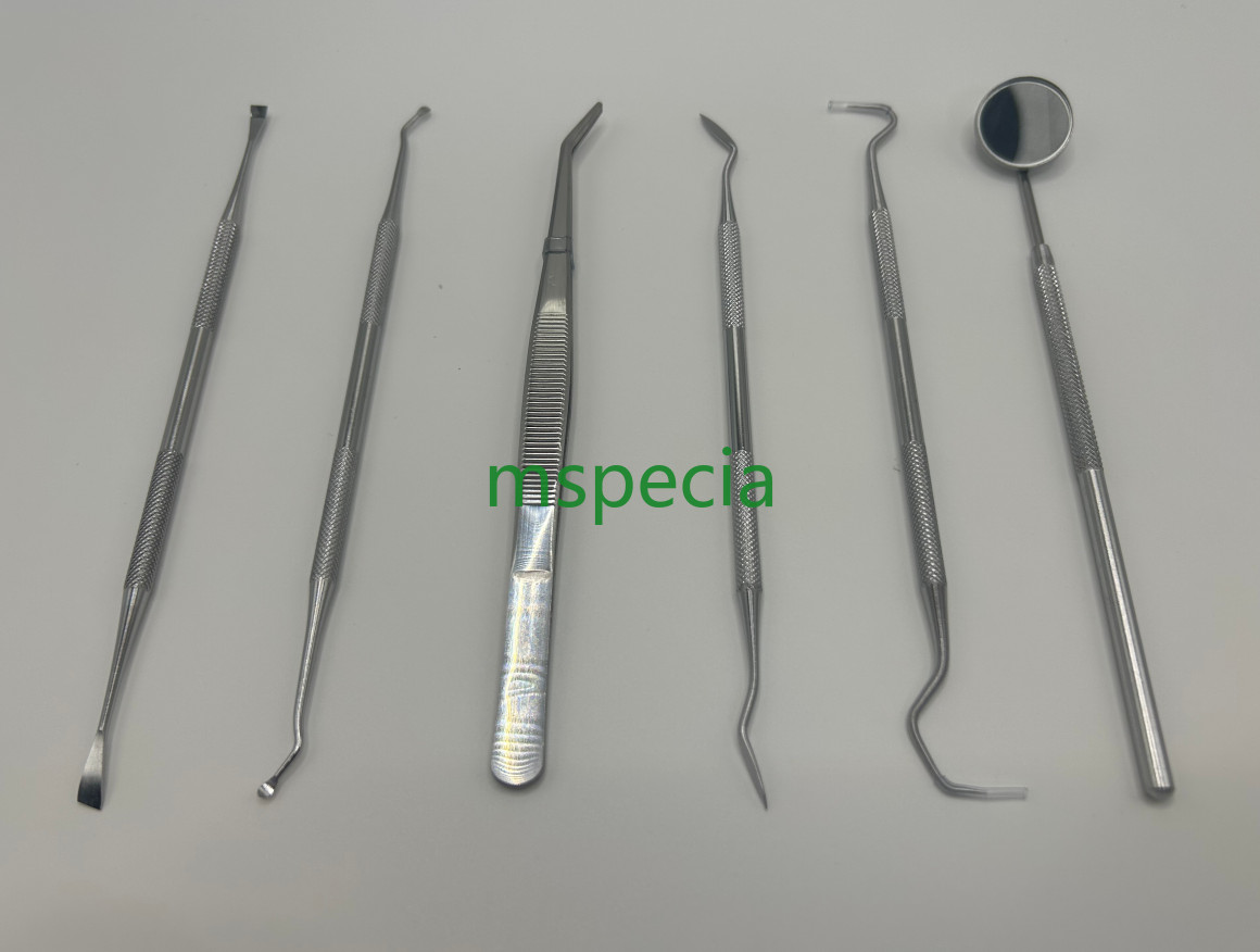 6PCS PROFESSIONAL BASIC DENTAL SET KIT NEW / Buy One and Get One Free ! 6PCS PROFESSIONAL BASIC DENTAL SET KIT NEW / Buy One and Get One Free !