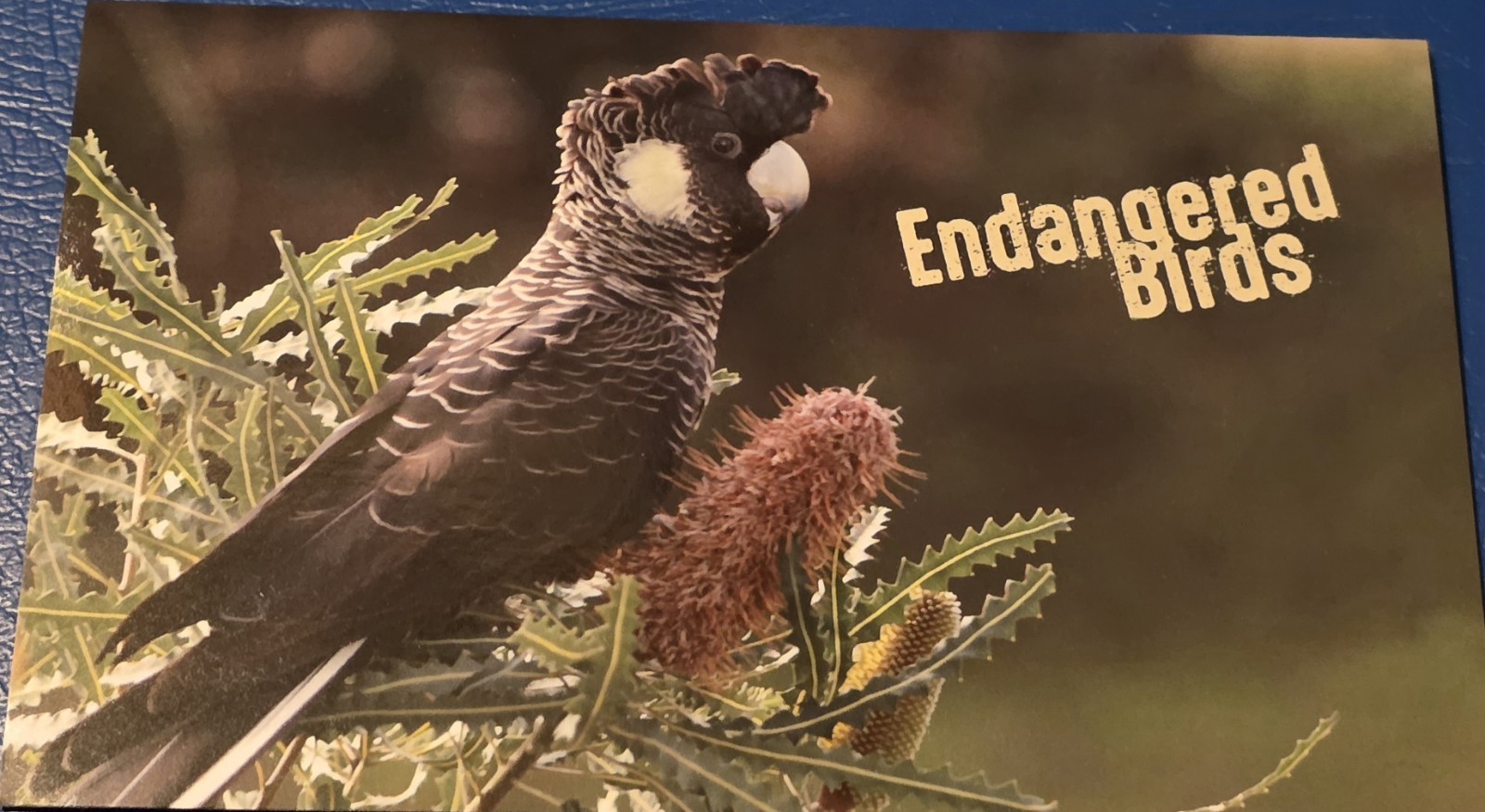 Australia Endangered Birds Decimal $1.70 Uncancelled Multi-colour Stamp Set