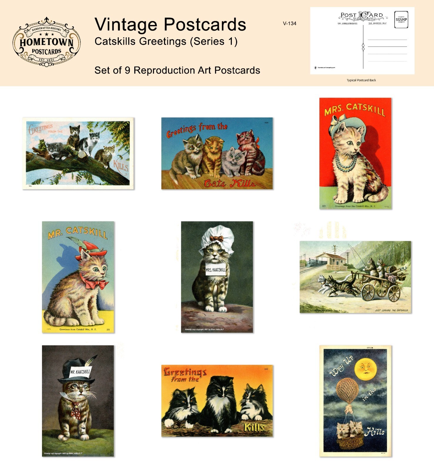 Catskills Greetings, NY  (Series 1) Lot of 9 Rare  Antique Repro Postcards