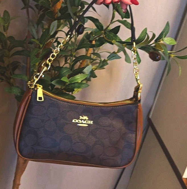 Coach Teri Signature Small Crescent Shoulder Bag Brown/Black Gold Zip Strap