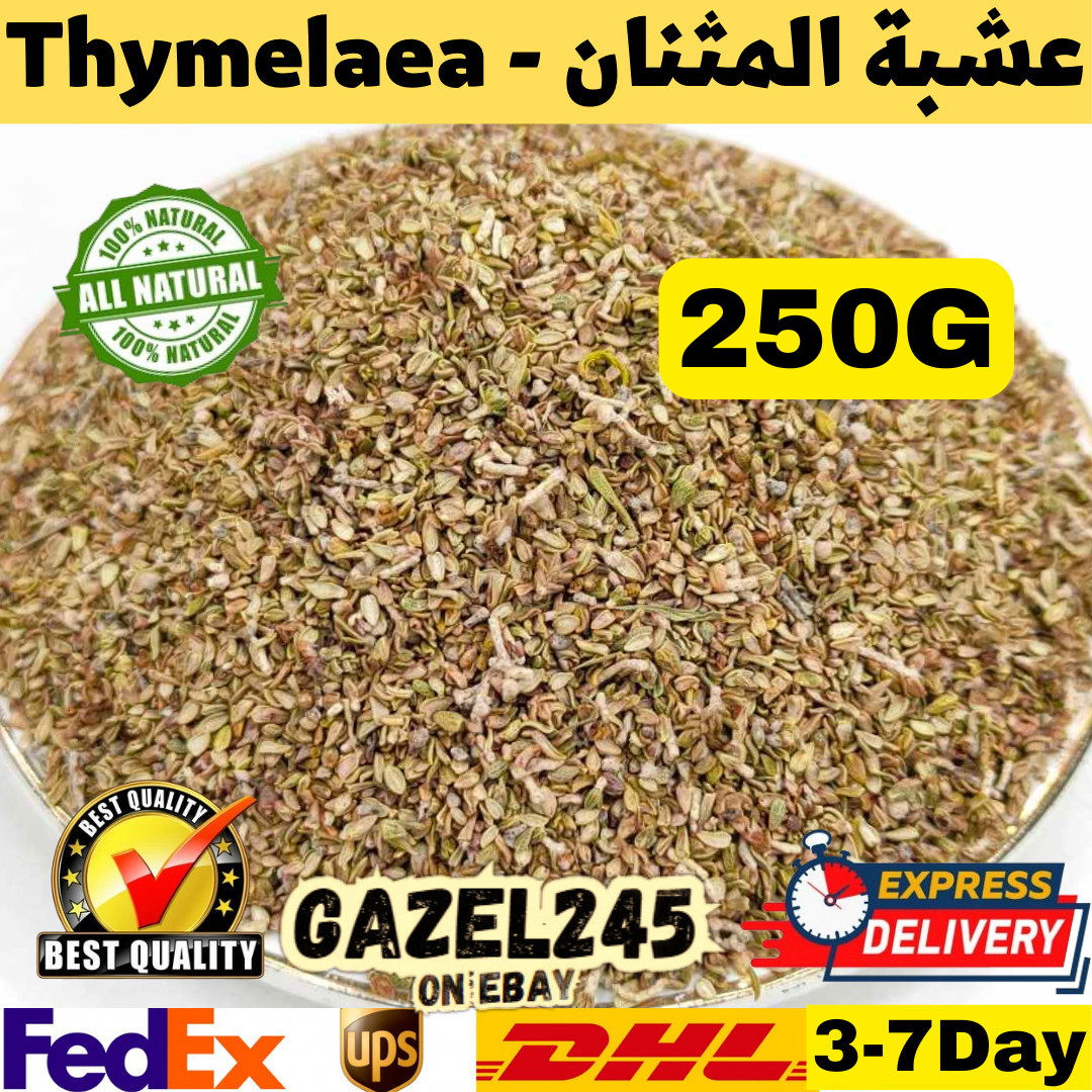 Thymelaea Hirsuta Dried Fresh Herb Natural GAZEL245 المثنان عشبة المثنان متنان