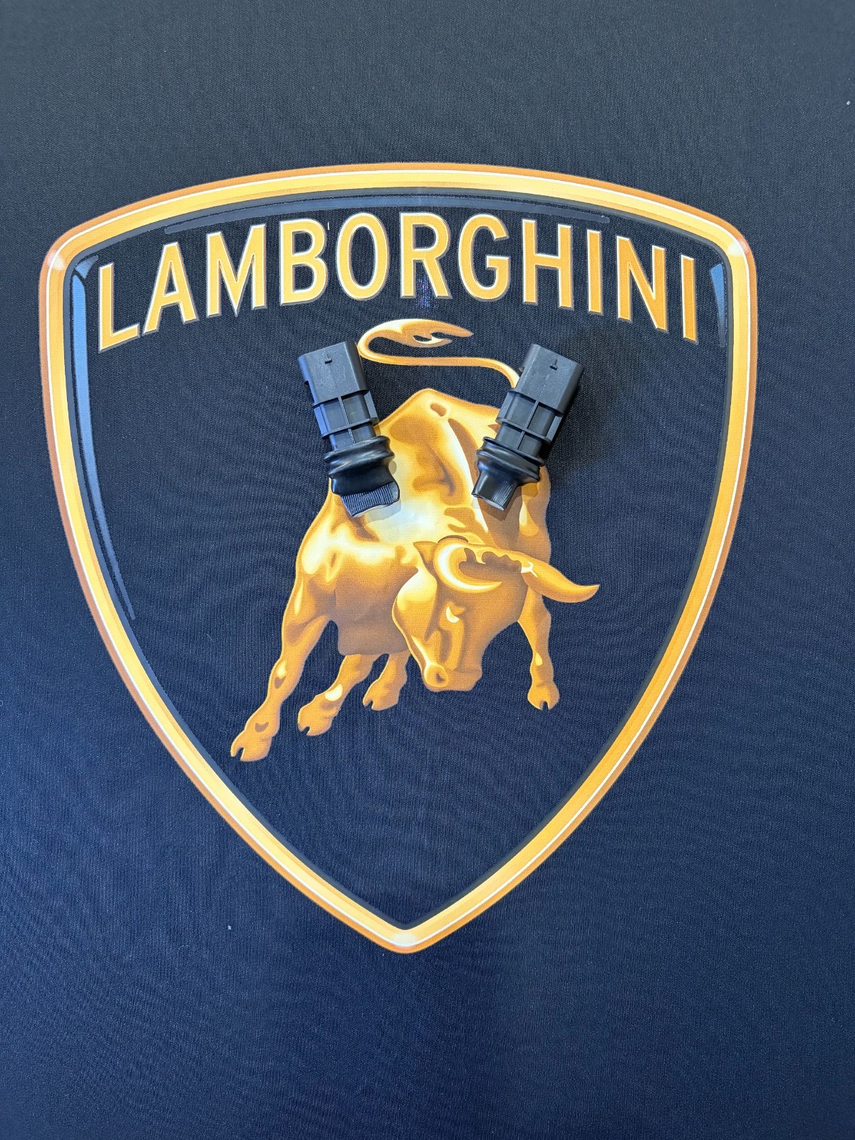 Lamborghini Revuelto Exhaust Valve Delete Modules Resistors