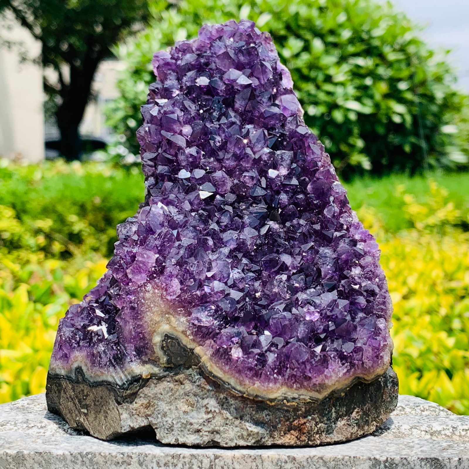 2.55LB Natural Amethyst geode quartz cluster crystal specimen Healing