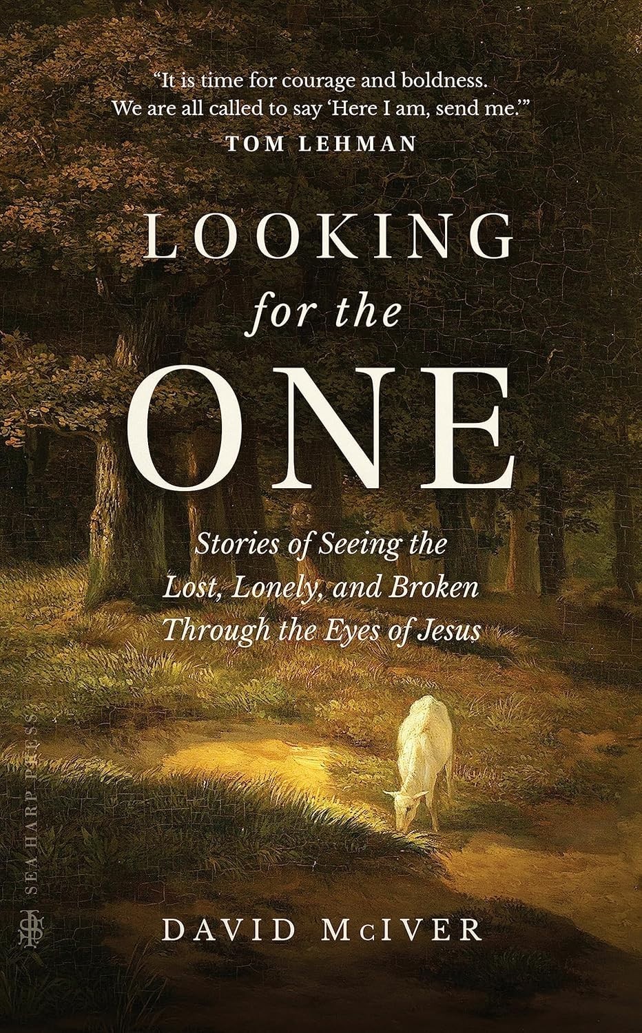 Looking for the One: Stories of Seeing the Lost, Lonely, and Broken Through ...
