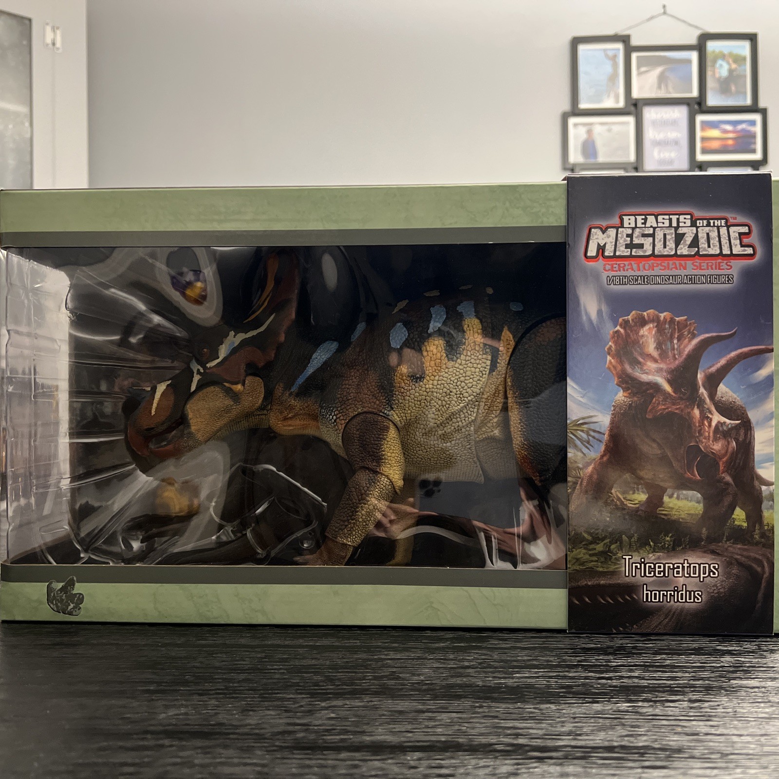 Beasts Of The Mesozoic 1/18th Ceratopsian Series Triceratops 