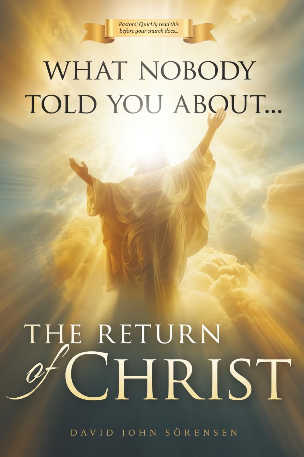 What nobody told You About The Return Of Christ Paperback by David John Sorensen What nobody told You About The Return Of Christ Paperback by David John Sorensen