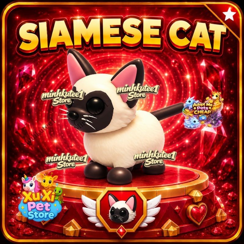 🐱 Siamese Cat | Adooopt Peet Now 🐱 Siamese Cat | Adooopt Peet Now