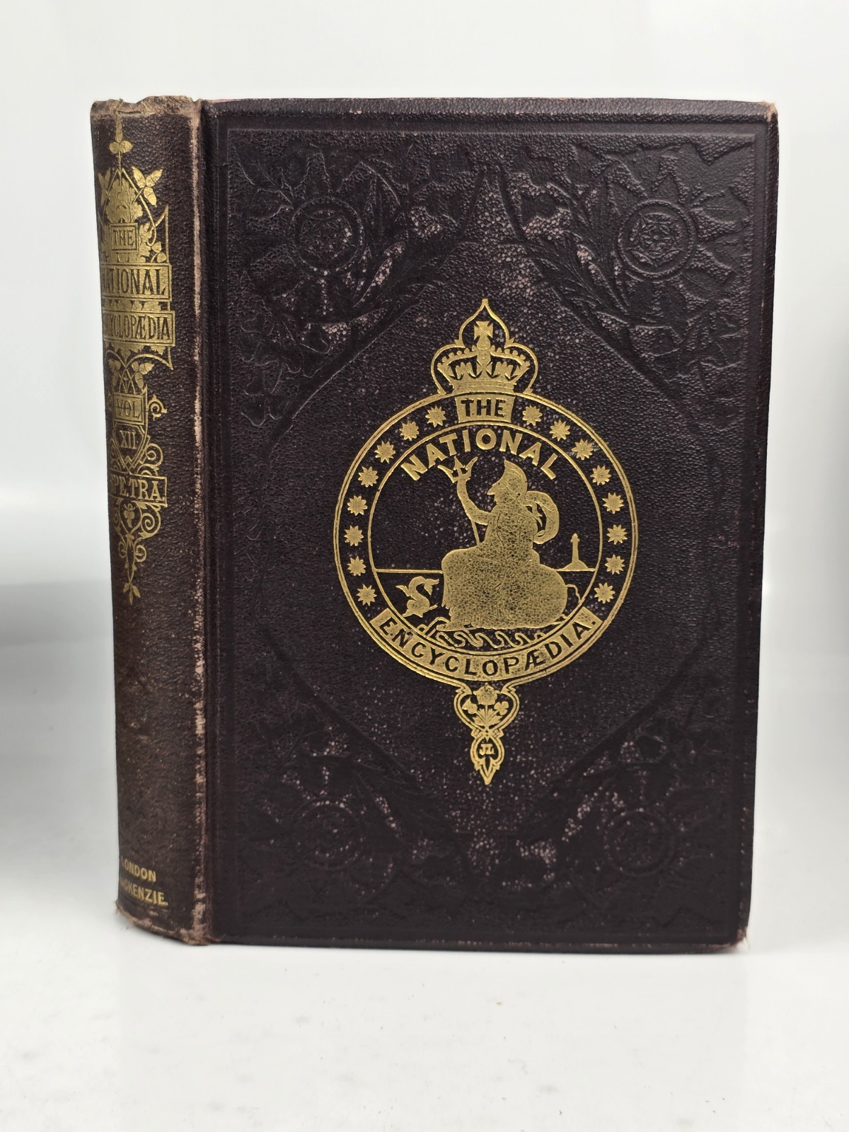 The National Encyclopedia Vol XII 1880s Specific Gravity Trade Marks HC Book The National Encyclopedia Vol XII 1880s Specific Gravity Trade Marks HC Book