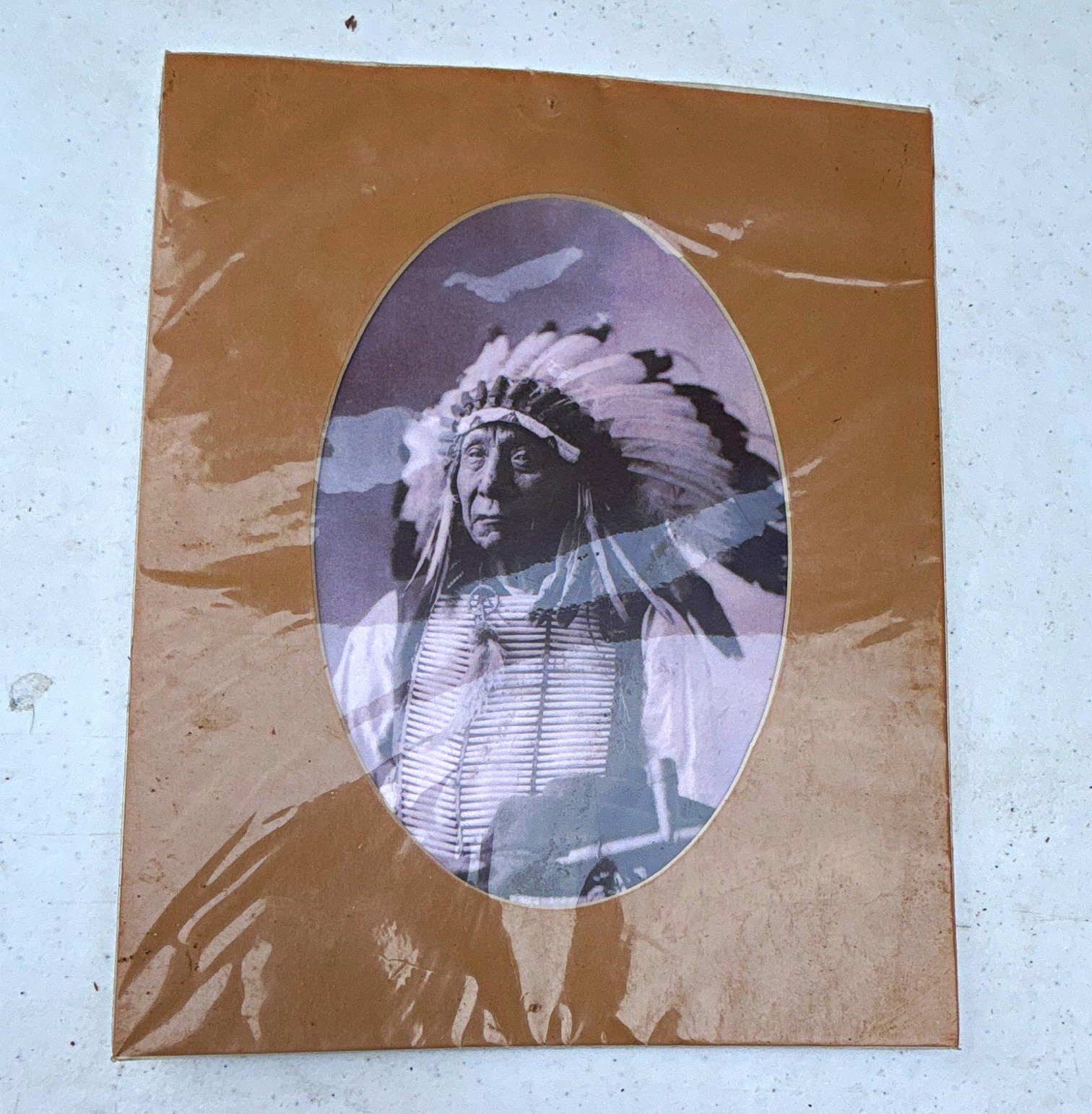 Charles M. Bell Red Cloud (Mahpiyah Luta) Oglala Sioux Chief Photo