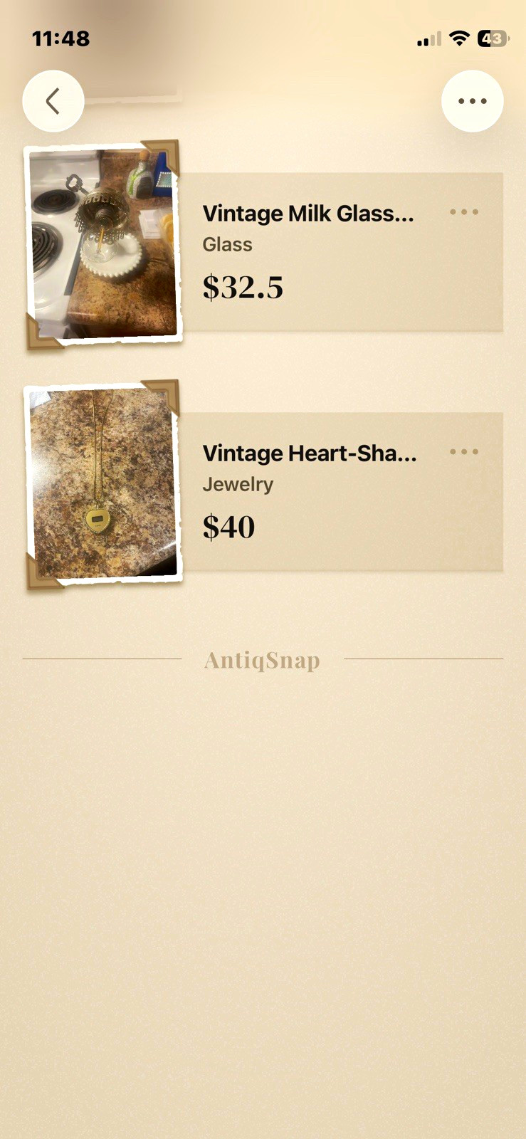 AntiqSnap Snap History Mixed Vintage Items Lot