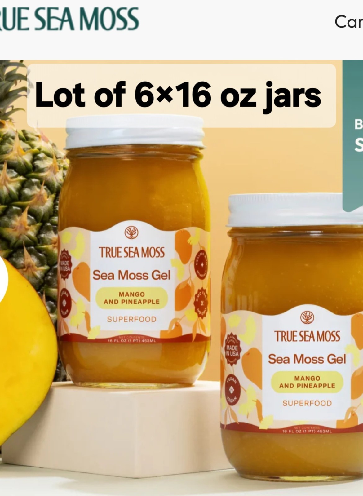Lot Of 6×16 oz True Sea Moss Gel Superfood Mango-Pineapple Exp 12/2026 Lot Of 6×16 oz True Sea Moss Gel Superfood Mango-Pineapple Exp 12/2026
