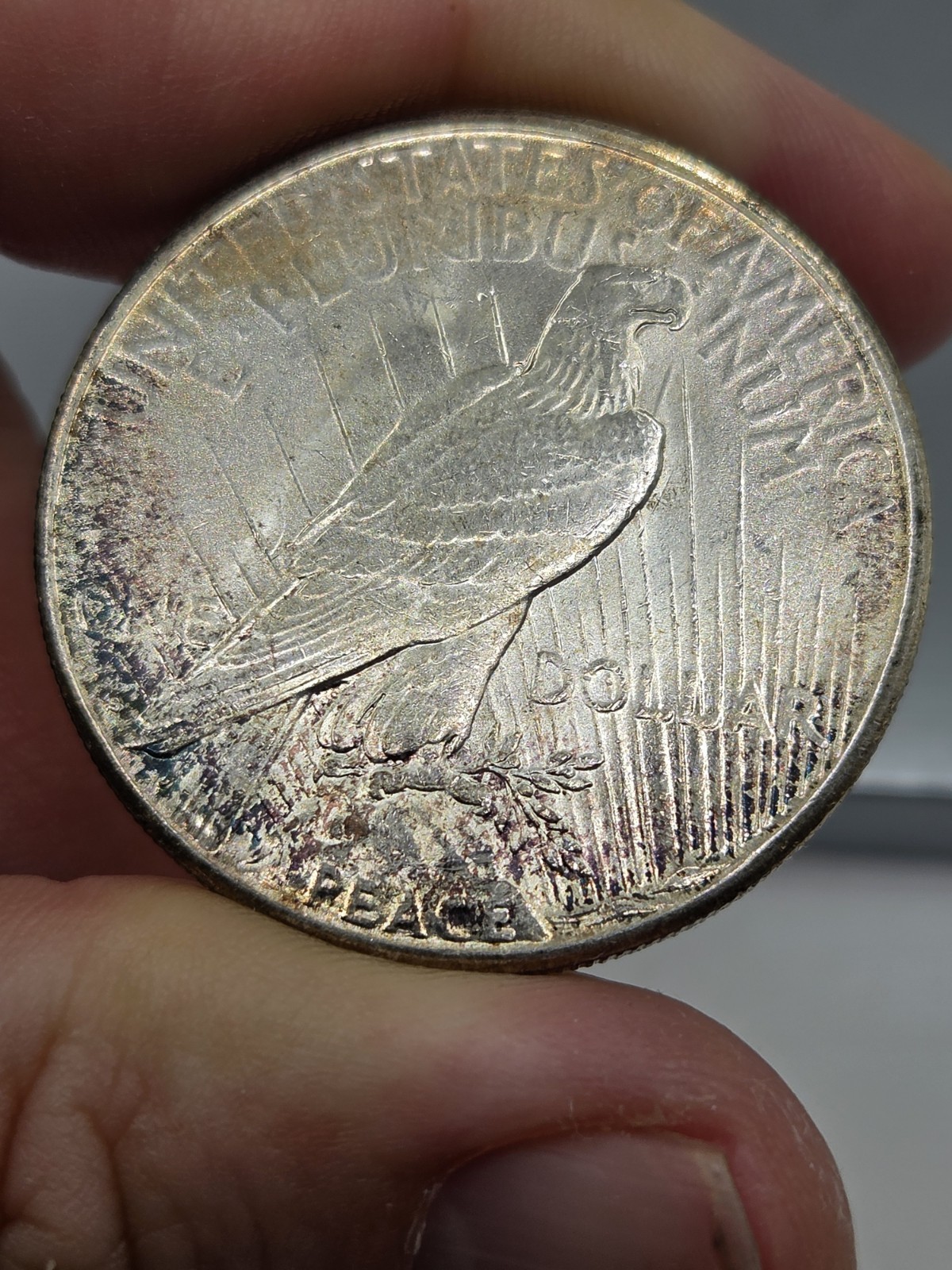 1922 S PEACE SILVER DOLLAR ☆ 1422 ☆ Beautiful Toned Reverse From Old Album