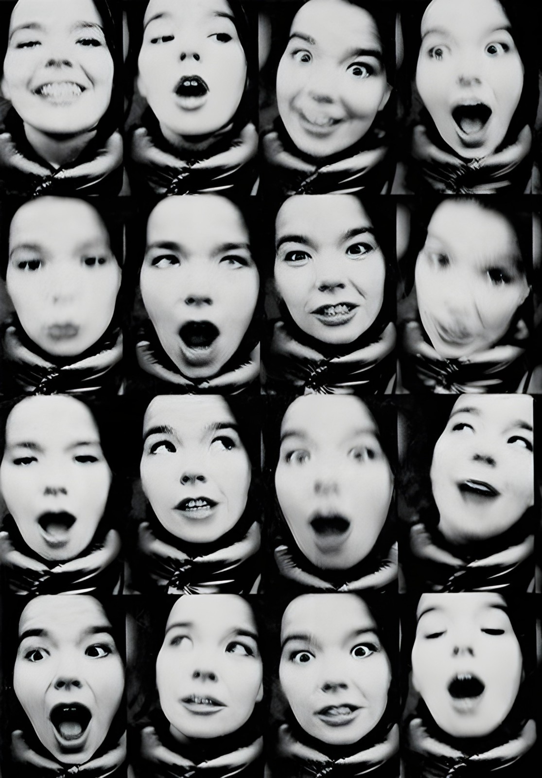 11x17 Bjork Poster Expression Photography 1994