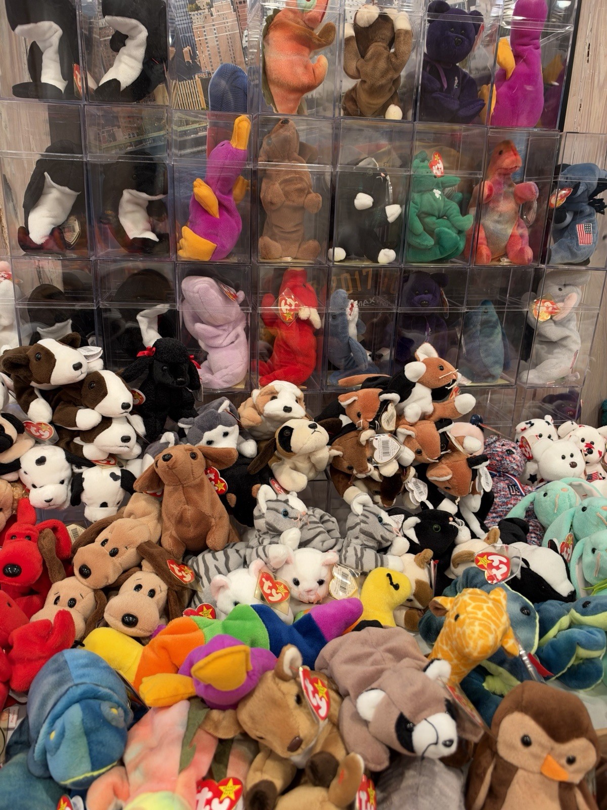Ty Beanie Babies Lot of 10 Random Mix 1990s and early 2000s With Tags