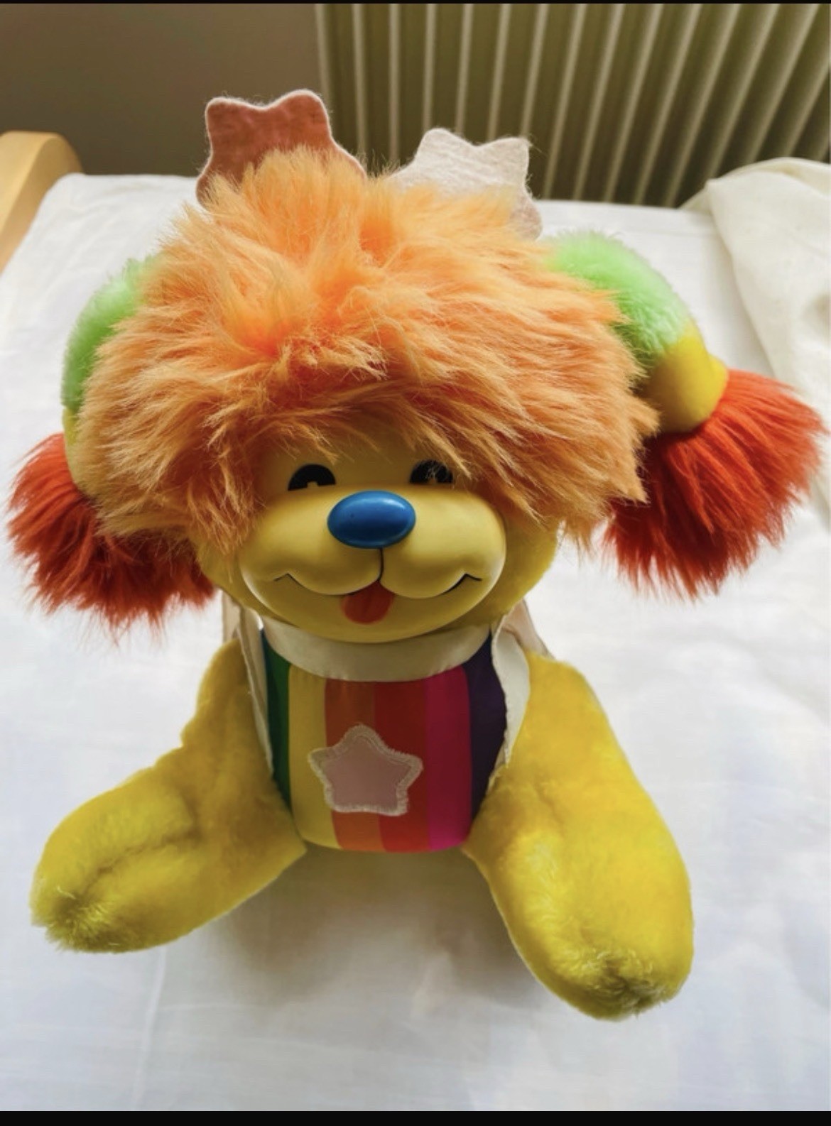 Rainbow Brite Puppy Brite 1983 Vintage Mattel Collectible