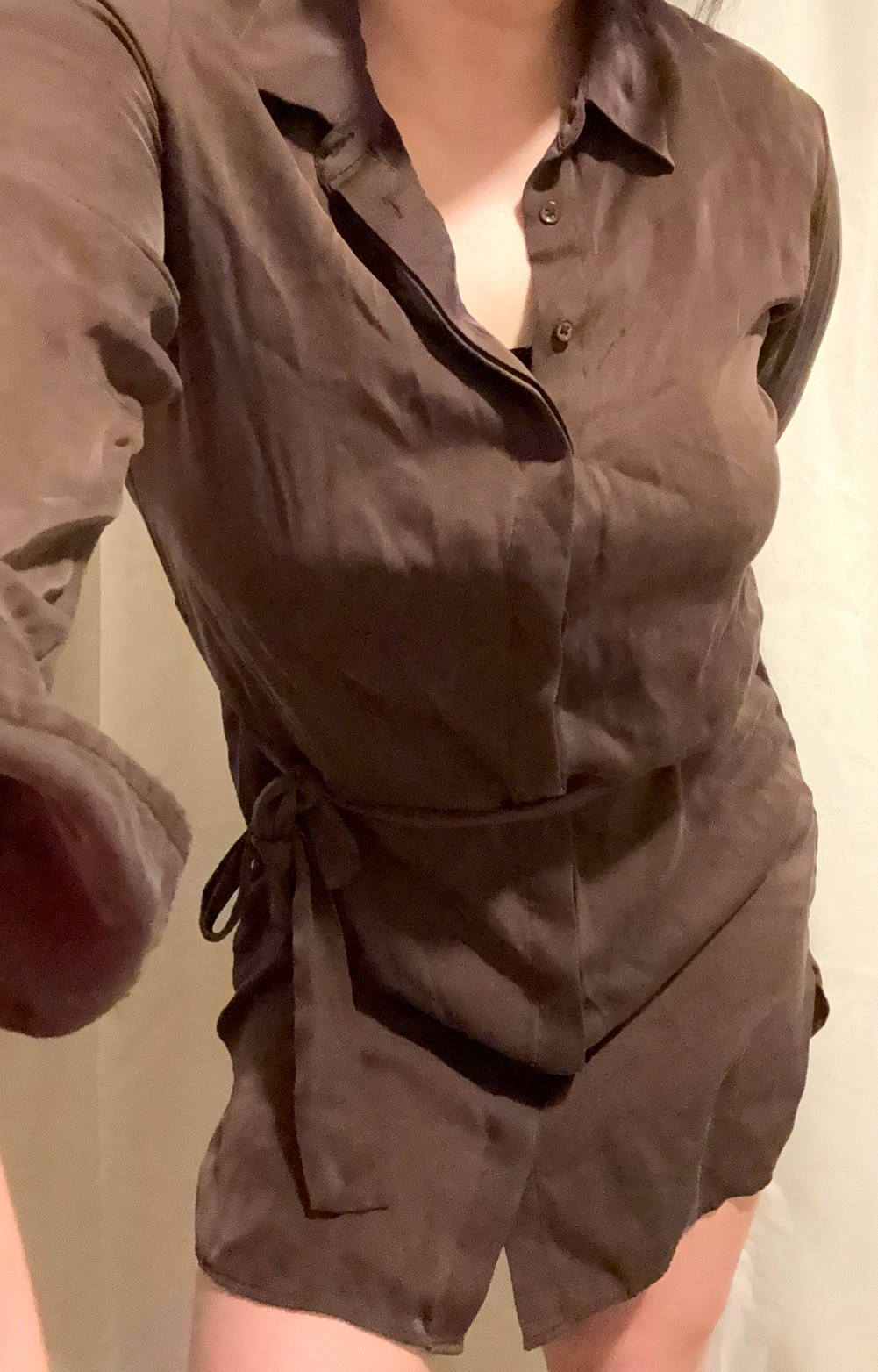 Quince Washable Silk Shirt Dress XL Brown Belted Tie Button Long Sleeve