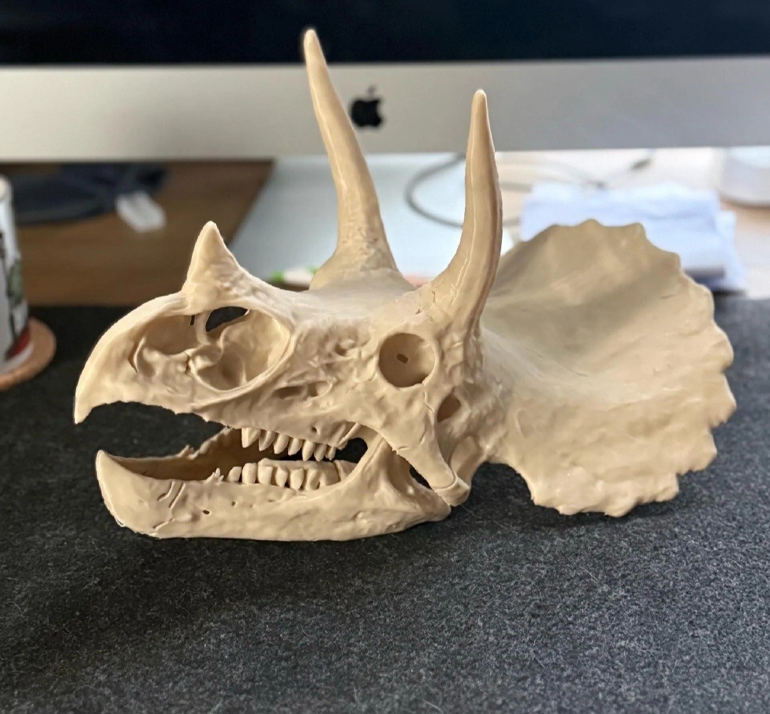 Triceratops Skull Replica 3D Printed