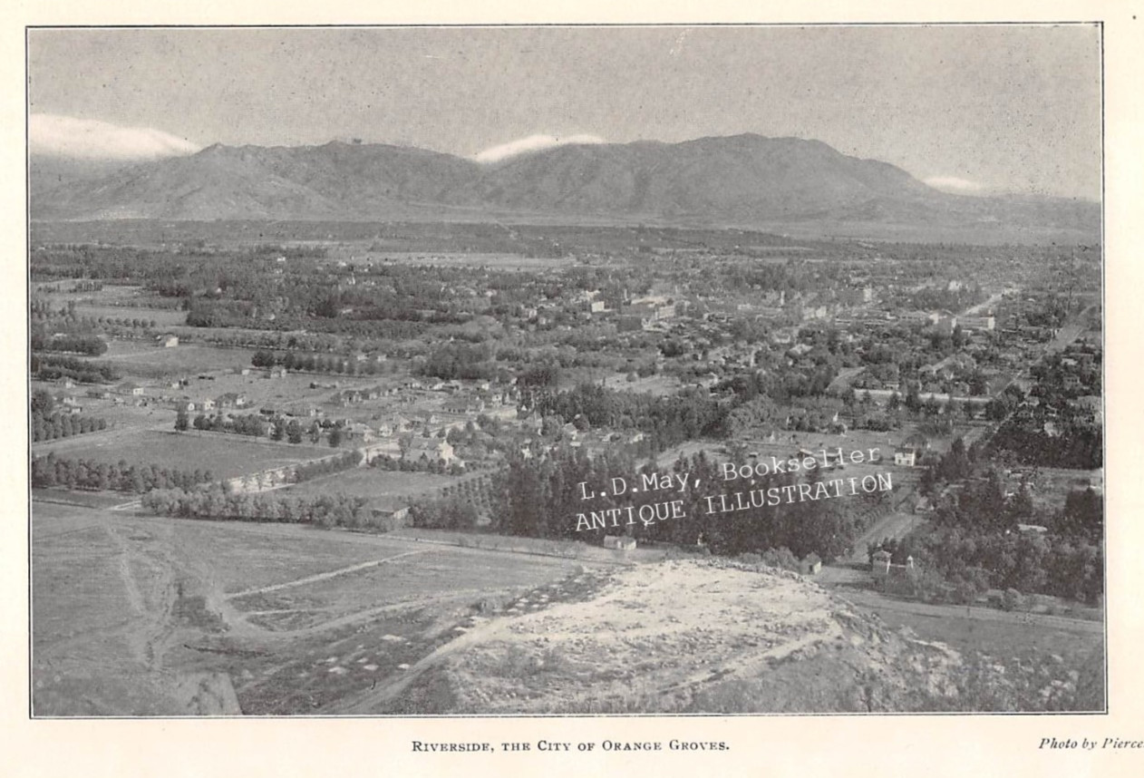 1903 RIVERSIDE CA \ 1903 RIVERSIDE CA \