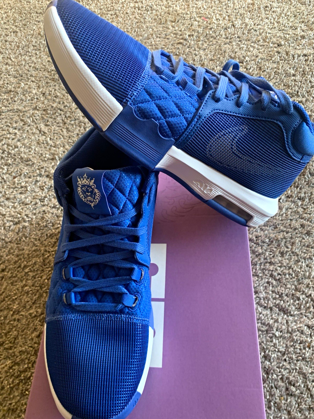 Nike LeBron Witness 8 TB Game Royal Men\'s Low Top Basketball Mesh FB9944-401 Nike LeBron Witness 8 TB Game Royal Men\'s Low Top Basketball Mesh FB9944-401