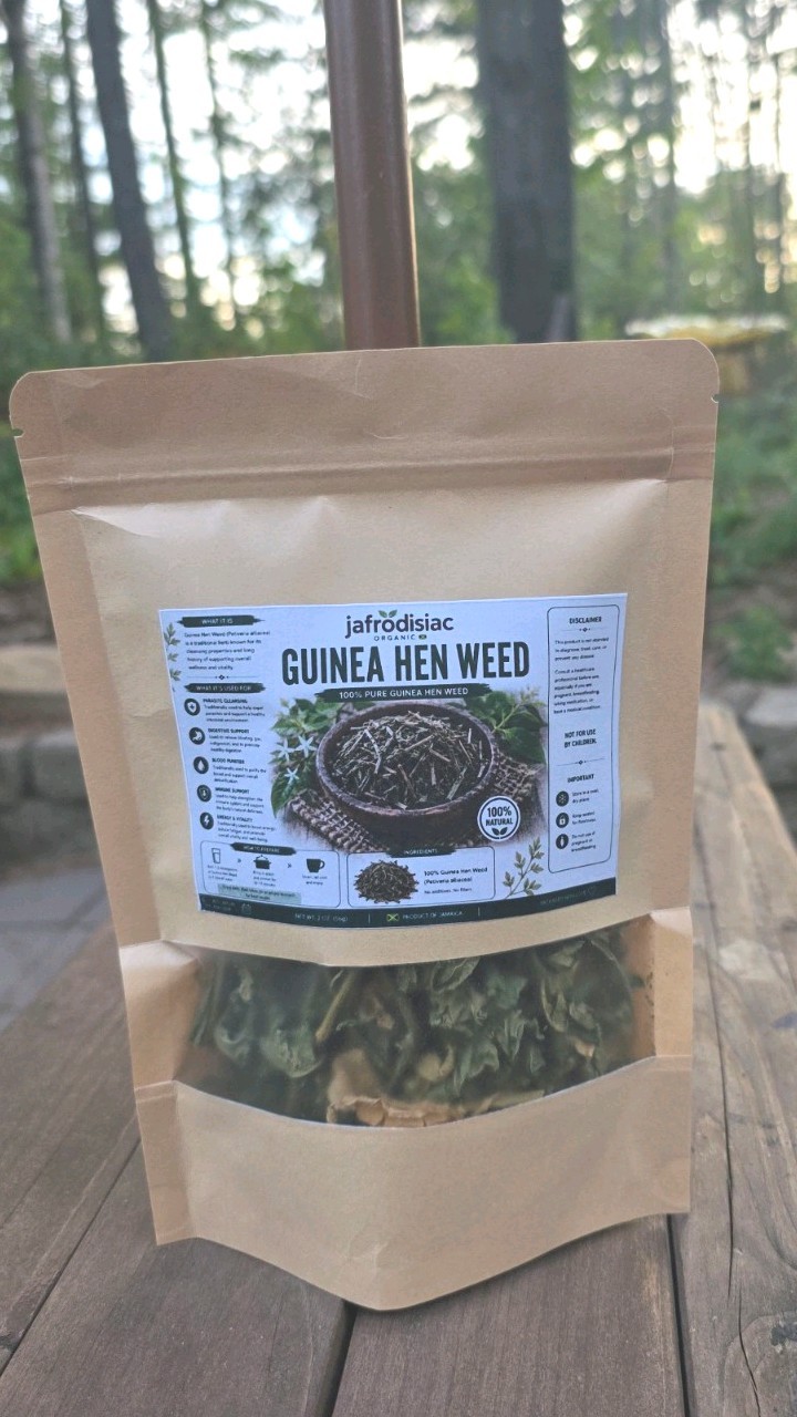 Guinea Hen Weed (Petiveria alliacea) 100 Percent Jamaican Organic 2 Oz