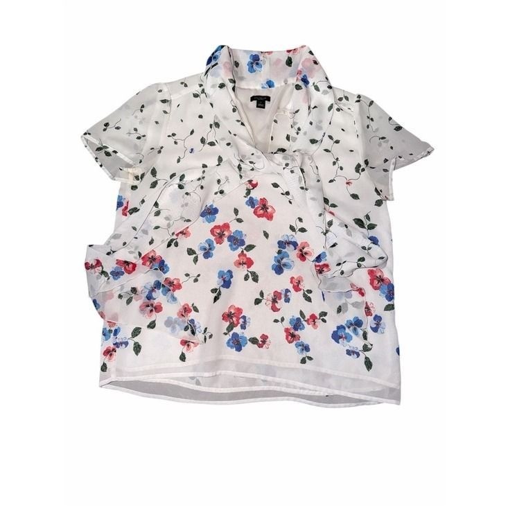 Ann Taylor Chiffon blouse