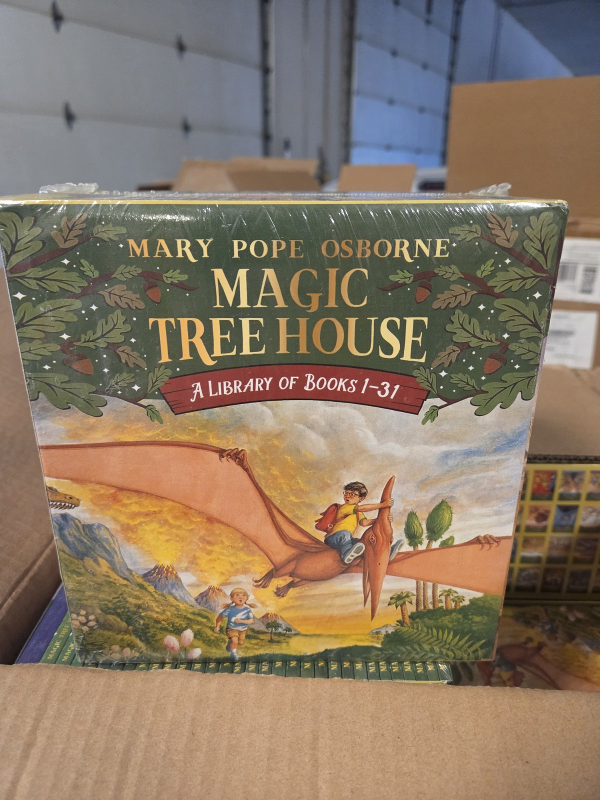 Box Set Magic Treehouse Books, 1-31 complete, by Mary Pope Osborne