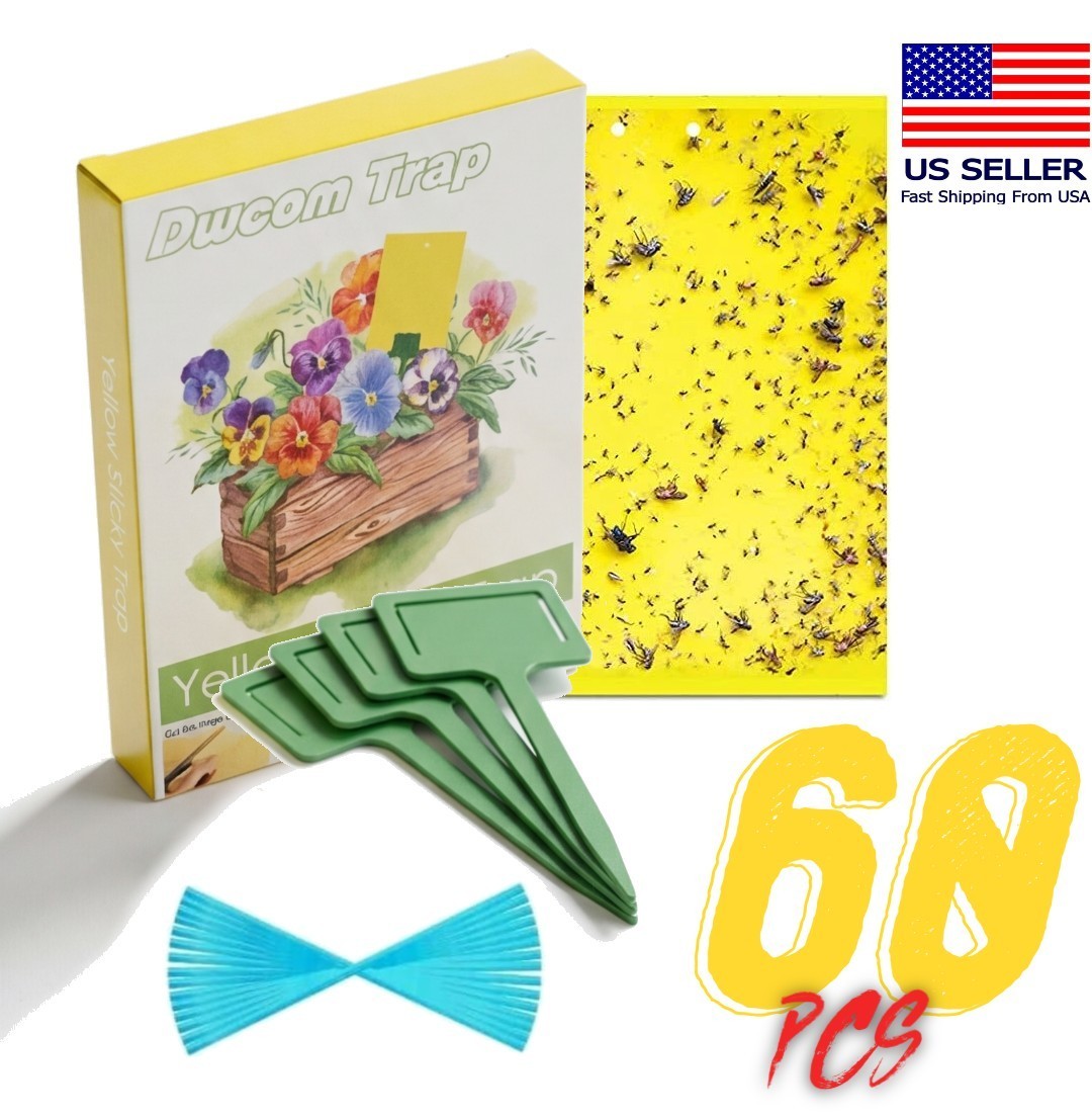 60Pcs Sticky Fly Trap Paper Yellow Traps Fruit Flies Insect Glue Catcher USA 60Pcs Sticky Fly Trap Paper Yellow Traps Fruit Flies Insect Glue Catcher USA