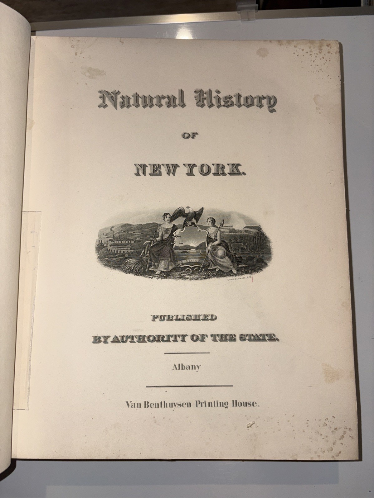 Geology of New York Volume 5 part 2 1879