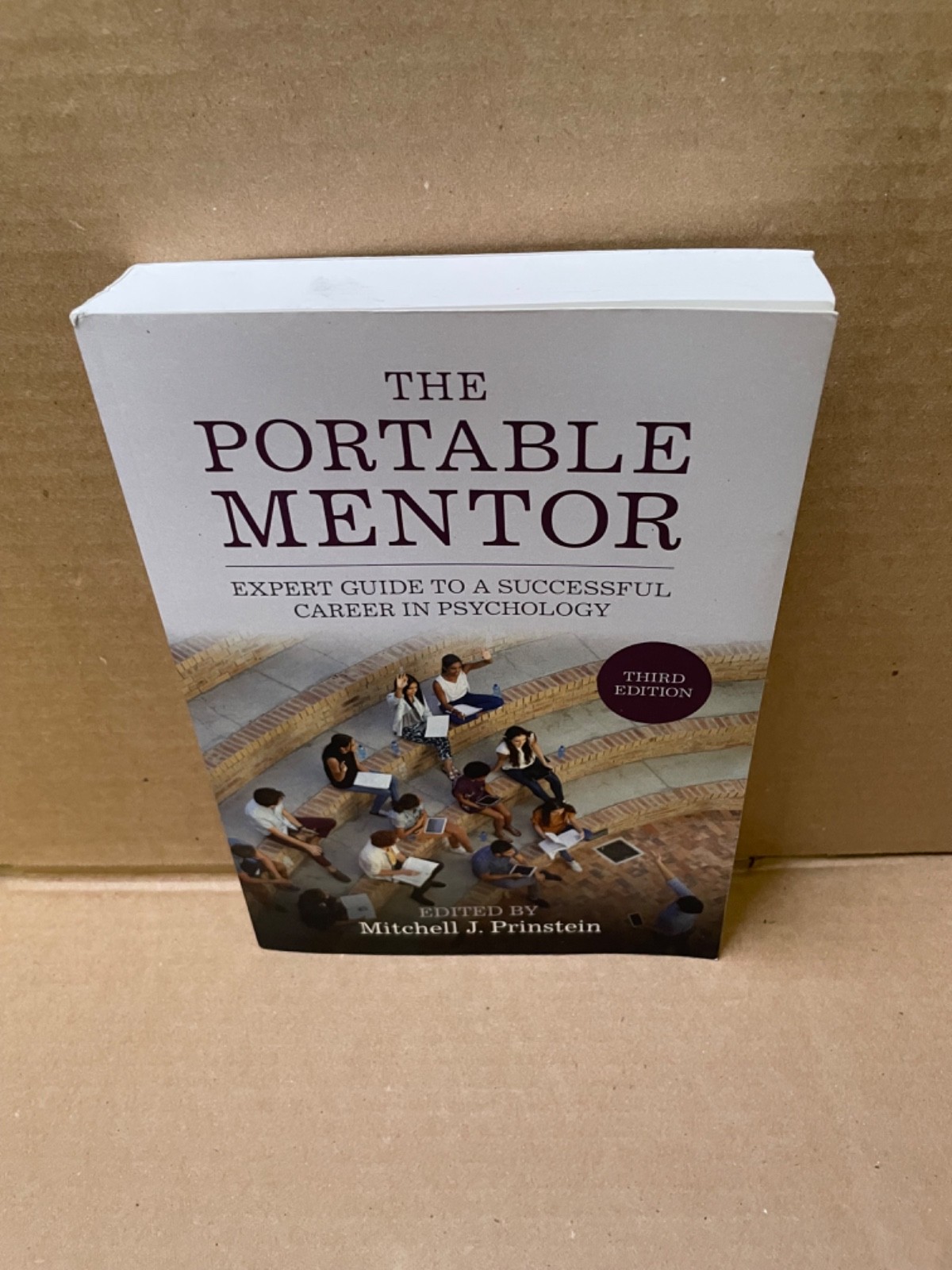 The Portable Mentor - Paperback, by Prinstein Mitchell J. - Good