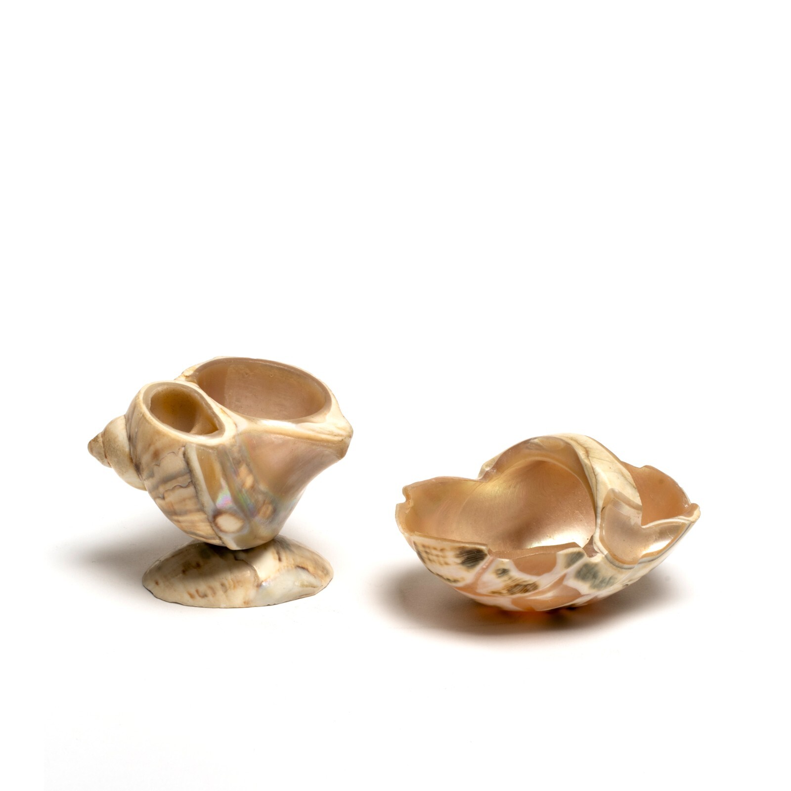 Two Antique Carved Shell Salts Two Antique Carved Shell Salts