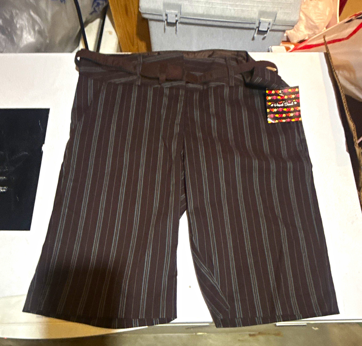 Have Soul Women’s Brown Striped Flat Front Chino Shorts Polyester Zip Pockets Have Soul Women’s Brown Striped Flat Front Chino Shorts Polyester Zip Pockets