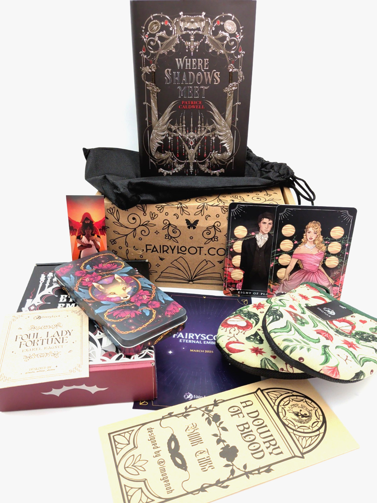 Fairyloot March 2025 FULL BOX Where Shadows Meet-Patrice Caldwell-Sprayed Edges