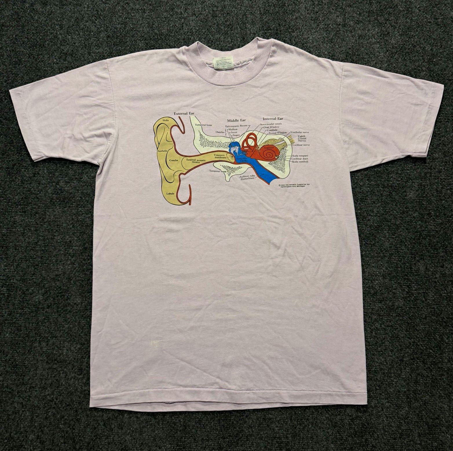 True Vintage 1982 Human Ear Anatomy Obscure Art T Shirt Lavender Nirvana Size L True Vintage 1982 Human Ear Anatomy Obscure Art T Shirt Lavender Nirvana Size L