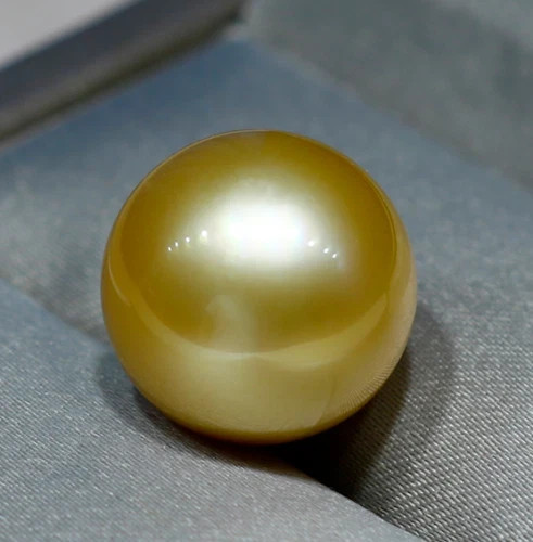 Charming Huge AAAAA 13-14mm south sea Golden loose pearl undrilled drilled
